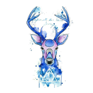 Wizard School Cookie Cutters