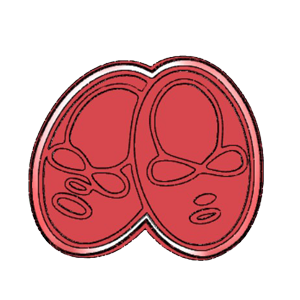 Baby Bootie Cookie Cutter