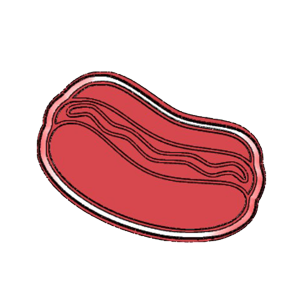 Hot Dog Cookie Cutter for Cookies