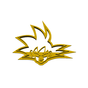 Goku Super Saiyan Dragon Ball