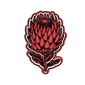 Protea Flower Cookie Cutter