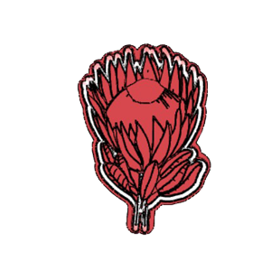 Protea Bloom Cookie Cutter