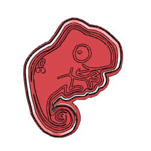 Chameleon Side Cookie Cutter