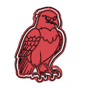 Stunning Eagle Cookie Cutter