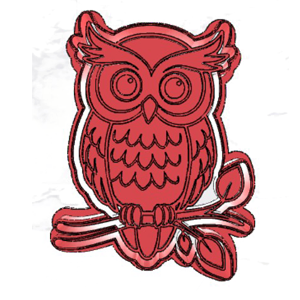Stunning Owl Cookie Cutter