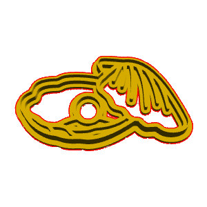 Clam Shell Cookie Cutter