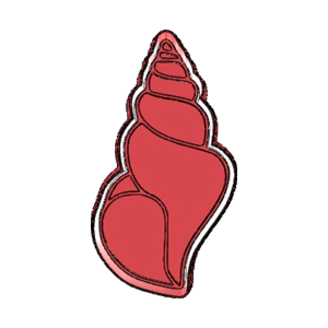 Tall Spiral Seashell Cookie Cutter