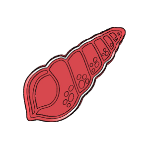 Textured Cone Shell Cookie Cutter