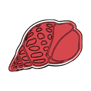 Patterned Ocean Shell Cookie Cutter