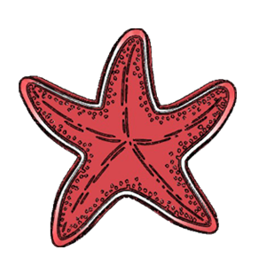 Decorative Sea Star Cookie Cutter