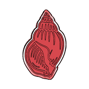 Detailed Ocean Shell Cookie Cutter