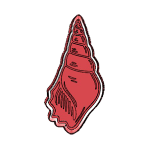 Long Spiral Seashell Cookie Cutter