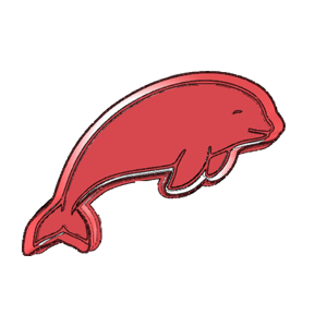 Cute Dolphin Cookie Cutter