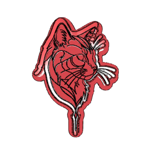 Detailed Cat Face Cookie Cutter