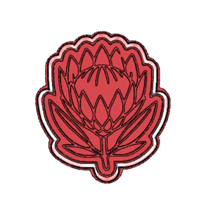 Protea Koekie Drukker