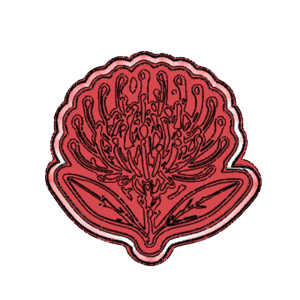 Pincushion Protea Cookie Cutters