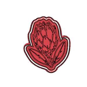 Protea Bud Cookie Cutter