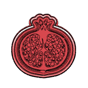 Half Pomegranate Cookie Cutter