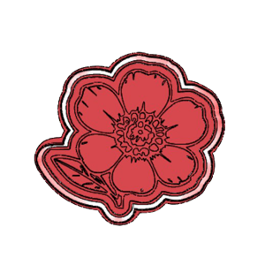 Pomegranate Flower Cookie Cutter