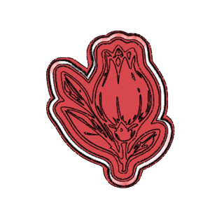Pomegranate Bud Cookie Cutter