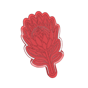 Mountain Protea Bloom Cookie Cutter