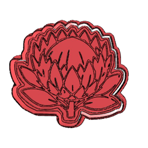 Crowned Protea Flower Cookie Cutter