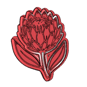Elegant Protea Stem Cookie Cutter