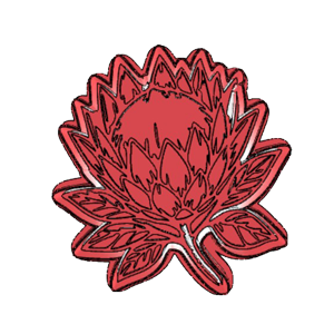 Protea Starburst Cookie Cutter