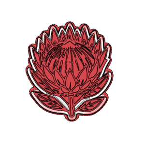 Classic Protea Emblem Cookie Cutter