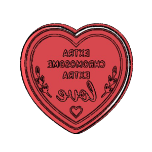 Extra Love Cookie Cutter