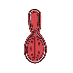 Whisk Cookie Cutter