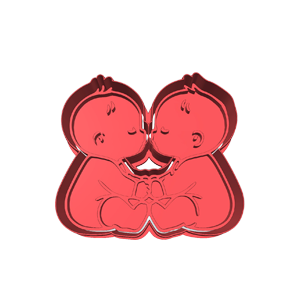 Twin Boys Facing Cookie Cutter