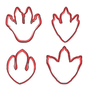 Dinosaur Footprint Cookie Cutter Set (4 Piece)