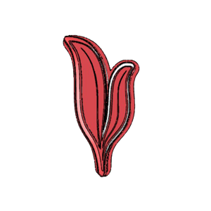 Calla Lilly Cookie Cutter