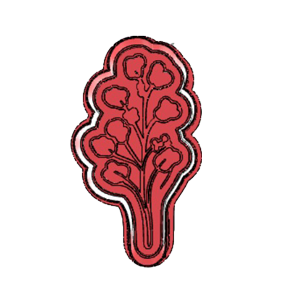Berry Blossom Cookie Cutter