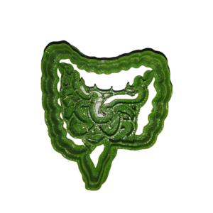 Large Intestine Anatomy Cookie Cutter