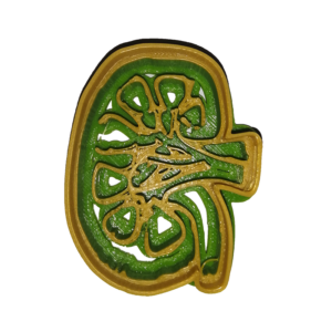 Kidney Anatomy Cookie Cutter