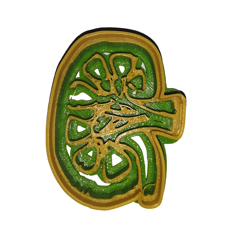 Kidney Anatomy Cookie Cutter