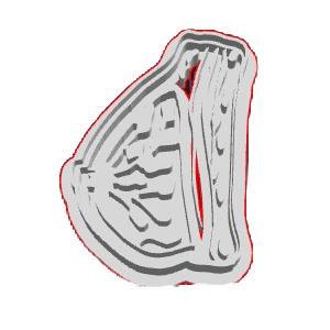 Breast Anatomy Cookie Cutter