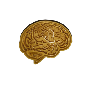 Human Brain Cookie Cutter