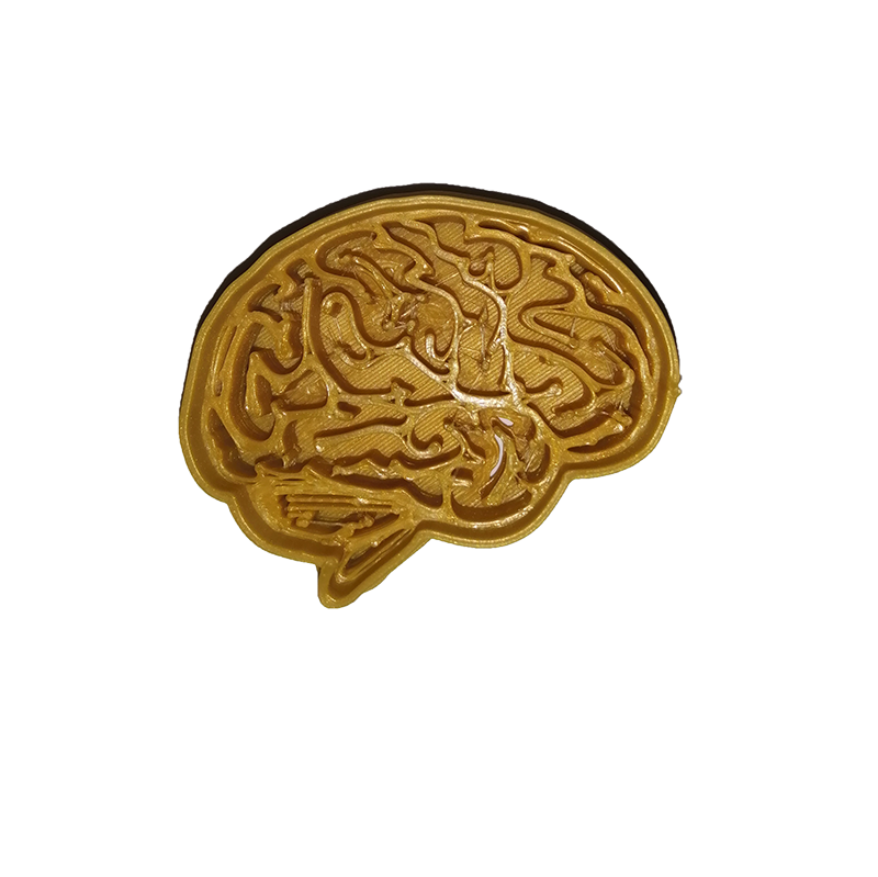 Human Brain Cookie Cutter
