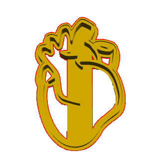 Human Heart Cookie Cutter