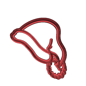 Christmas Hat Cookie Cutter