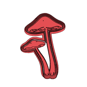Fairytale Mushroom Cookie Cutter