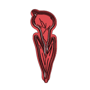 Tulip Flower Cookie Cutter