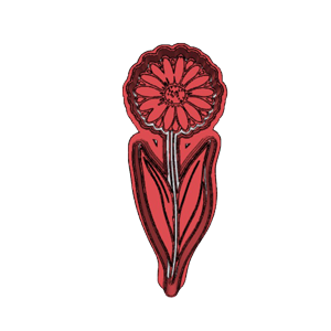 Gerbera Daisy Flower Cookie Cutter