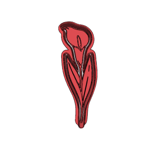 Tulip Flower Cookie Cutter