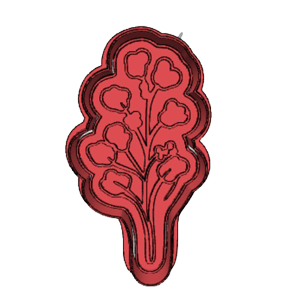Wildflower Cookie Cutter