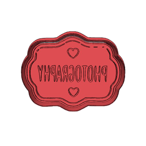 Photography Plaque Cookie Cutter