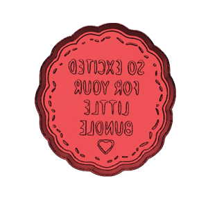 So Excited For Your Little Bundle Cookie Cutter